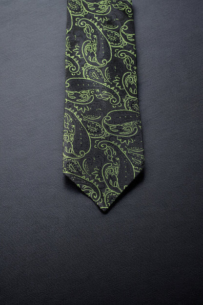Elegant Green & Black Paisley Tie & Pocket Square