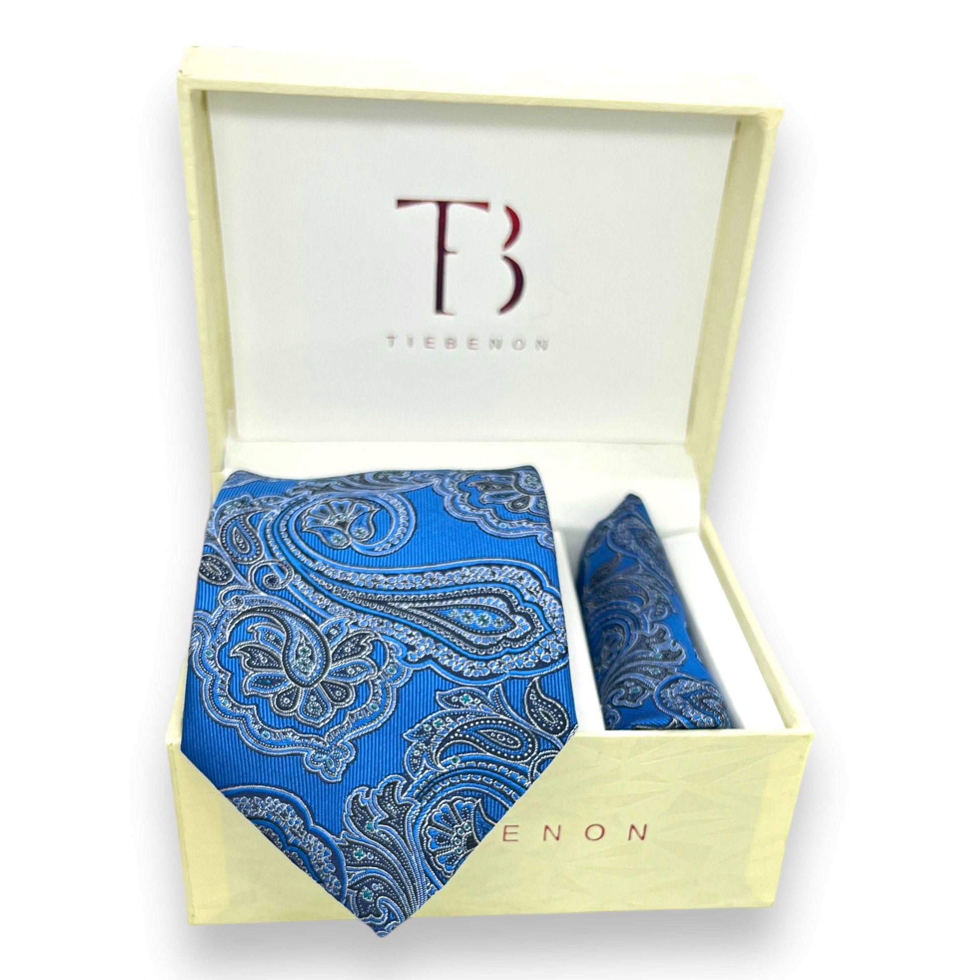 Blue And Black Paisley Tie Combo