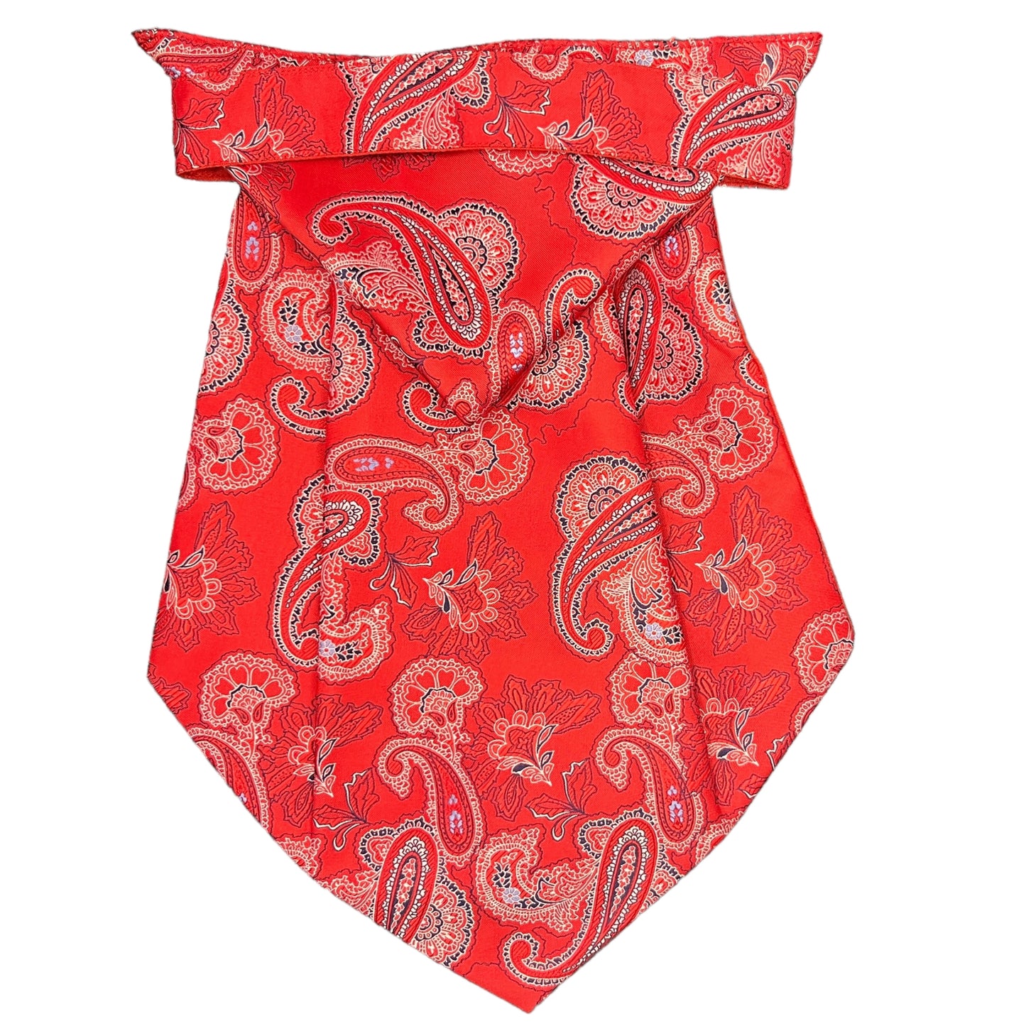 Red Paisley Cravat Tie