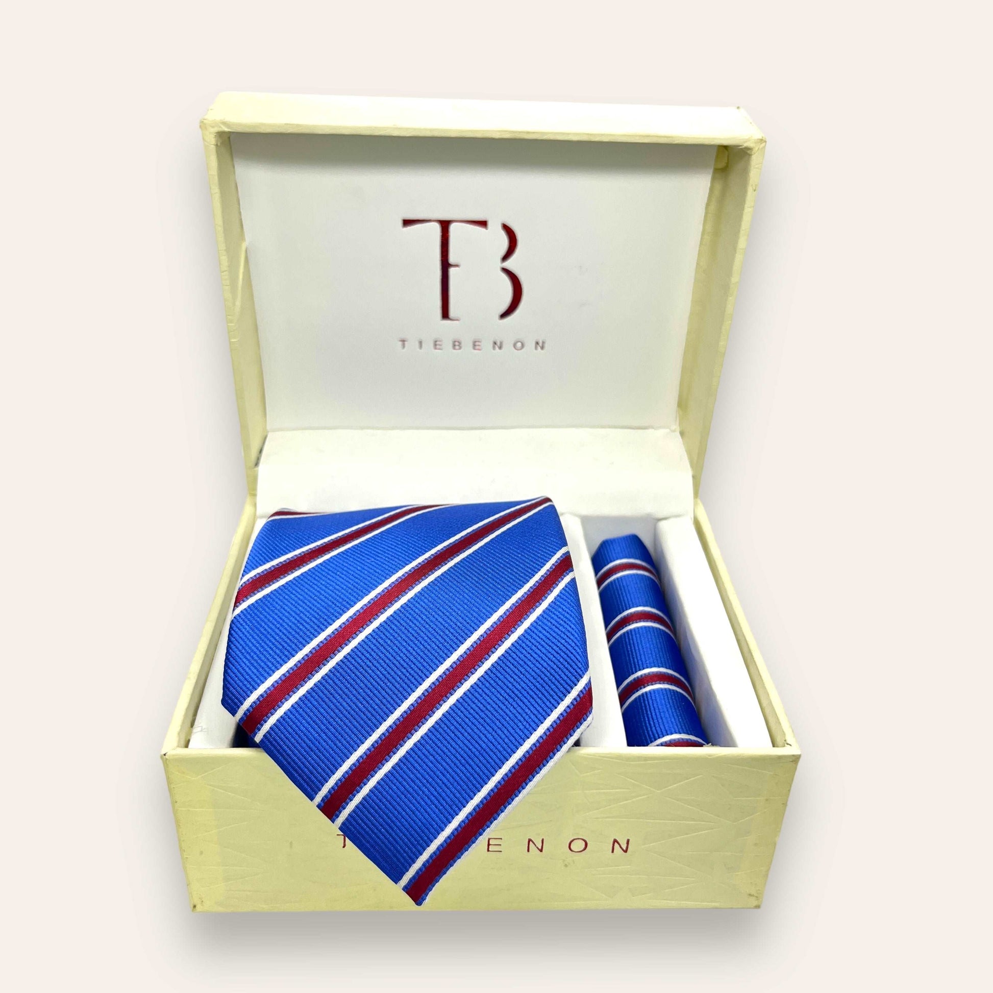 Blue And Burgundy Stripe Tie Combo