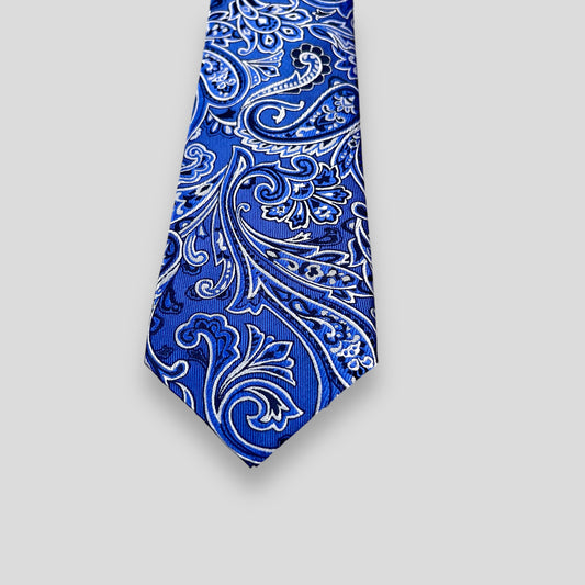 Blue And White Paisley Tie