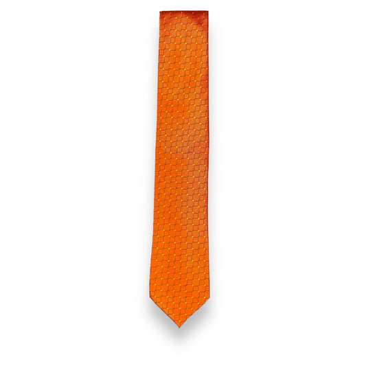 Burnt Orange Dotted Tie